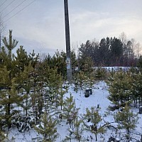 Обложка будущего альбома Зипо Кислицина